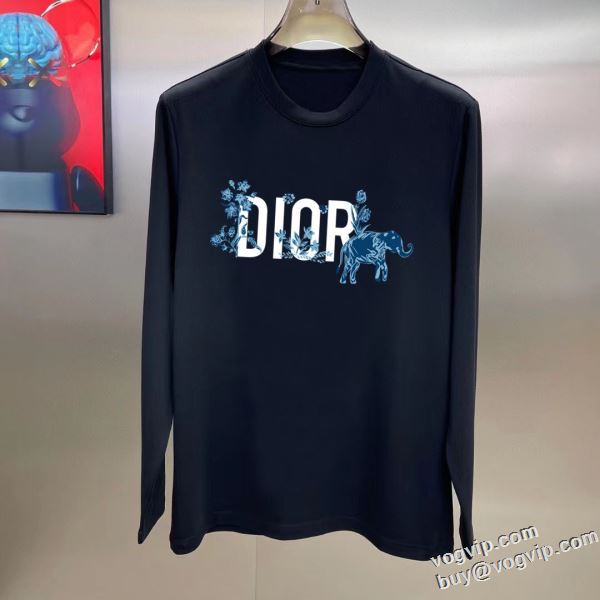 スタイリッシュな印象 ディオール DIOR スーパーコピー 長袖Tシャツ 2色可選 寒い季節の定番 2024人気セール