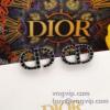 ピアス イヤリング ディオール DIOR 2025驚きの低価格 偽物ブランド もっとも高い人気を誇る