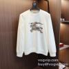 2025爆買い新作 バーバリー BURBERRY 今買い◎得 プルオーバーパーカー 3色可選 スーパーブランドコピー品質保証