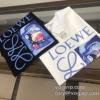 人気激売れ ブランドコピー激安販売 2025お得セール ロエベ LOEWE 半袖Tシャツ 2色可選