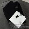 アークテリクス スーパーコピー 激安 CTSARC006 2025年モデル入荷 長袖Tシャツ 2色可選 希少価値大！