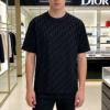 2026限定セール高品質 ディオール DIORコピー NXZDIOR058 半袖Tシャツ 2色可選 希少価値大！