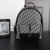 機能性も備えたアイテム ディオールコピー NBAGDIOR047 リュック、バックパック メンズバッグ 2色可選 2026超激得高品質