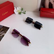 2026年モデル入荷 カルティ...
